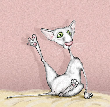 �������