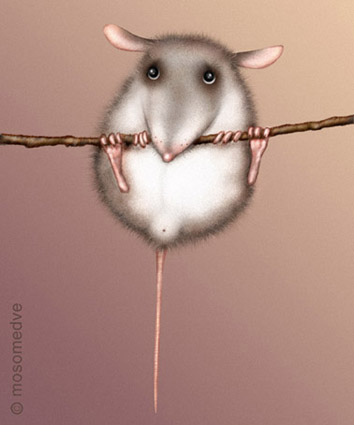 �������