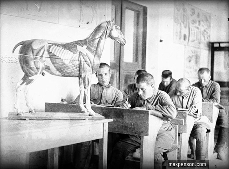 ��������� ����������