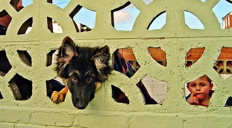 ������ �����