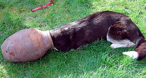 ������ �����