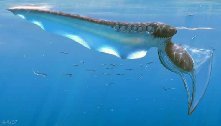 ����� �������