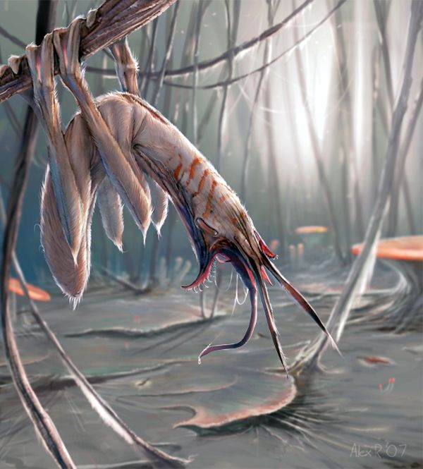 ����� �������