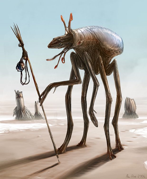 ����� �������