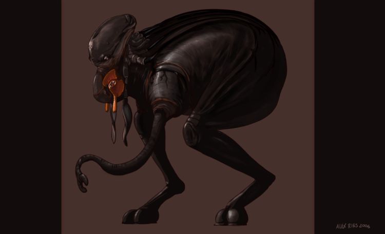 ����� �������