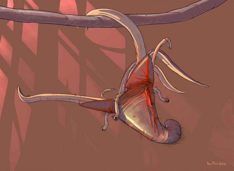 ����� �������