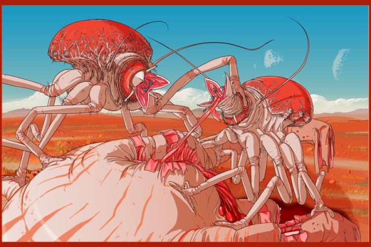 ����� �������