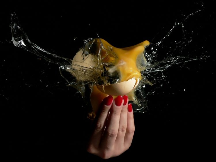 ��������