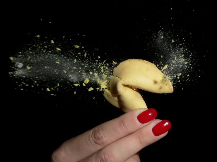 ��������