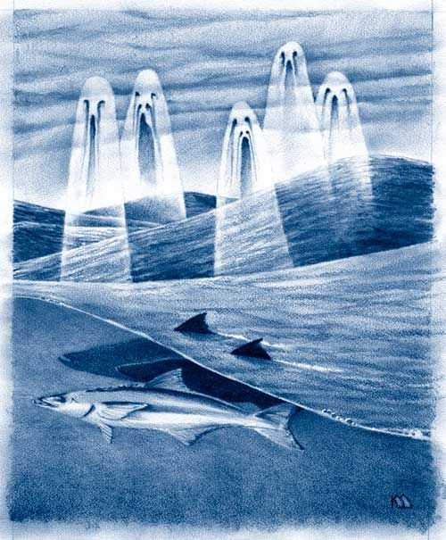 �������