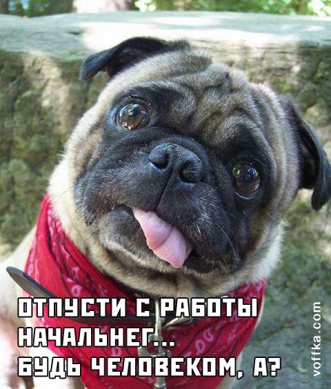 �������� �����!