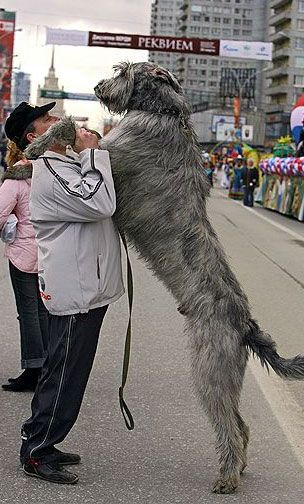 ���� ������� ������� � ������