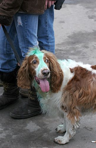 ���� ������� ������� � ������