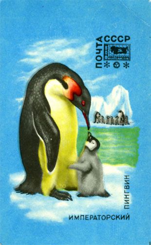 ��������� �����������