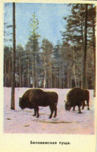 ��������� �����������