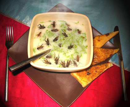 ������������ ���