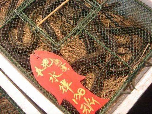 ������������ ���