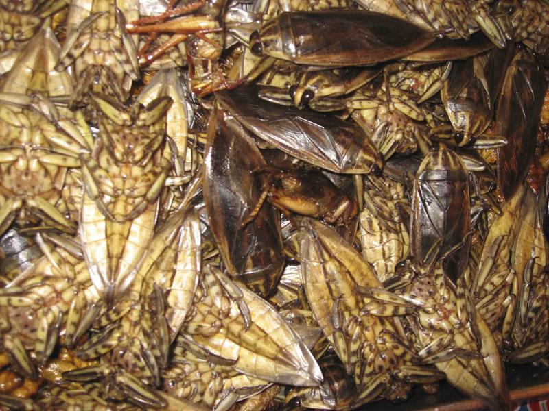 ������������ ���