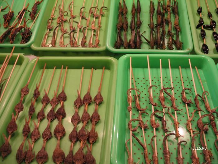 ������������ ���