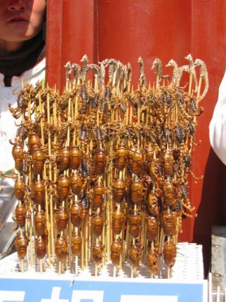 ������������ ���