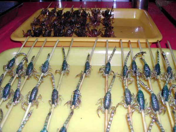 ������������ ���