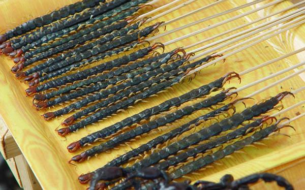 ������������ ���