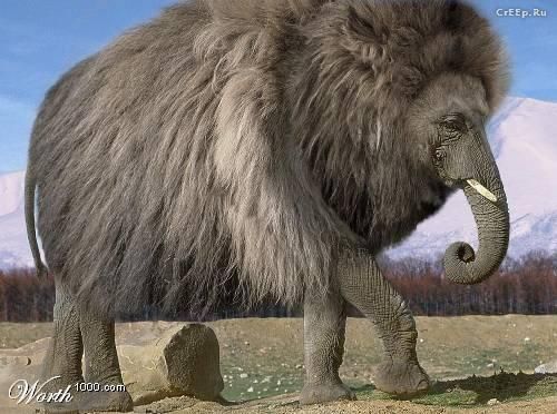 �������