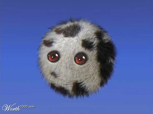 �������