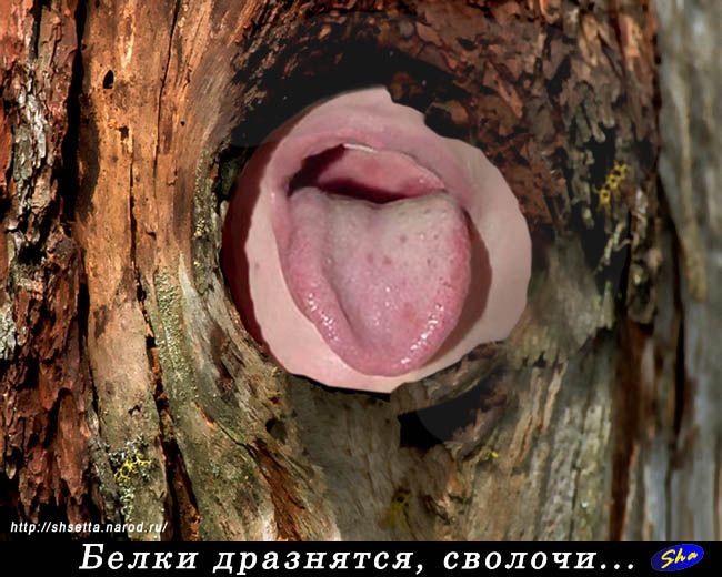 �������� ��������