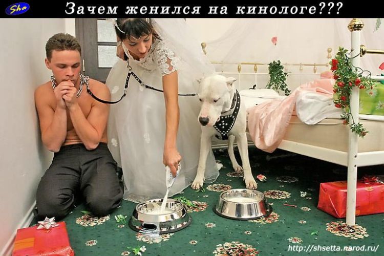 �������� ��������