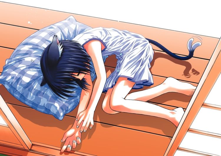 �������� �������