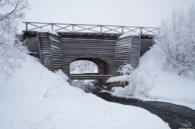 ������ ������