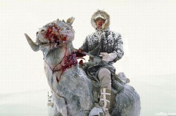 зомби - звездные войны