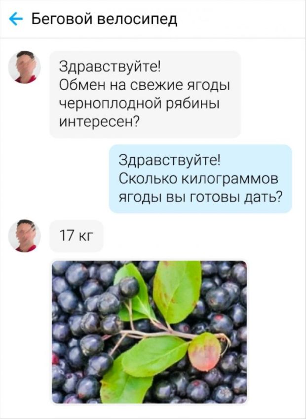 покупатели