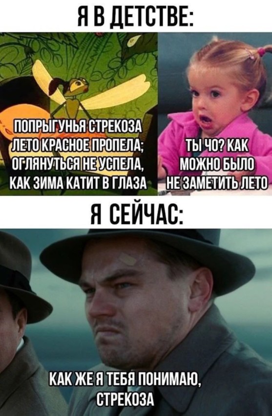 vtv