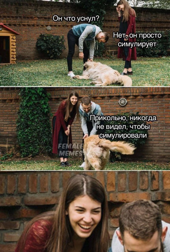 vtv