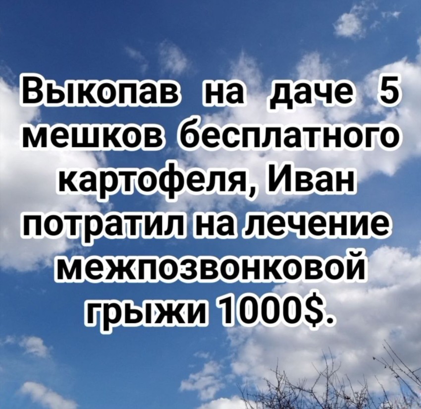 vtv