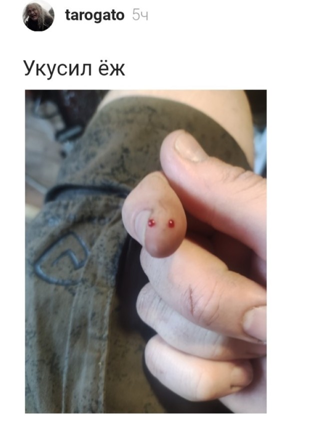�������� ���������� �� ������ �������