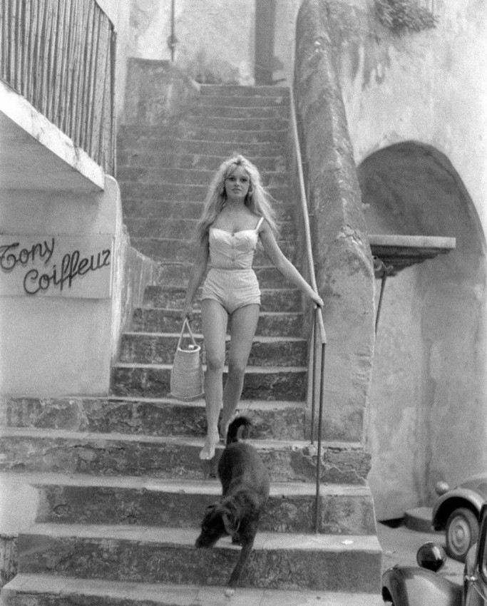 ������ �����