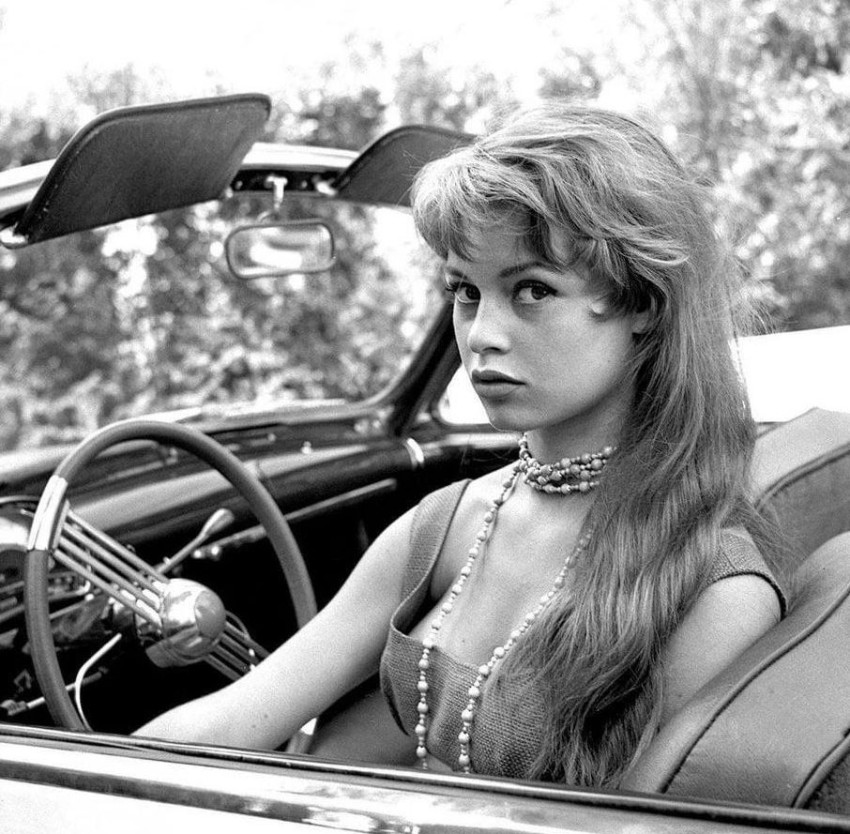 ������ �����