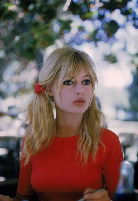 ������ �����