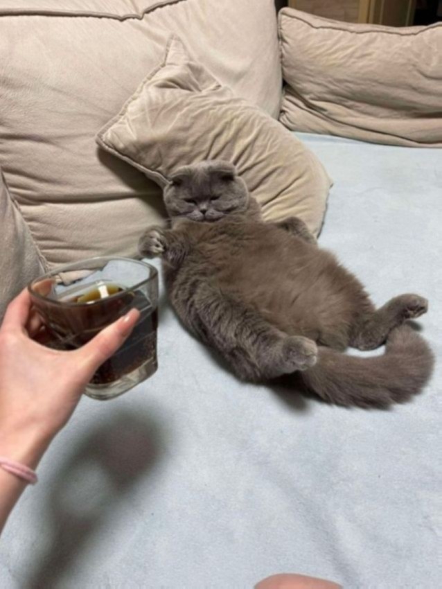 ����