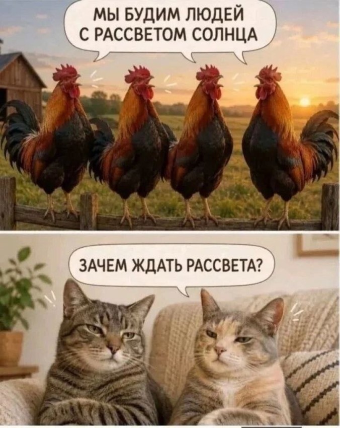 ���