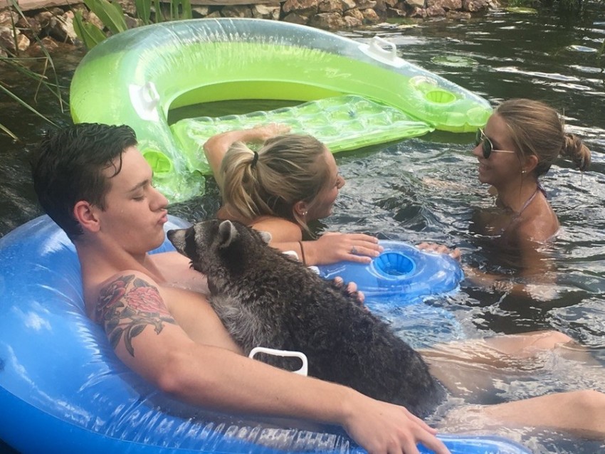 ����