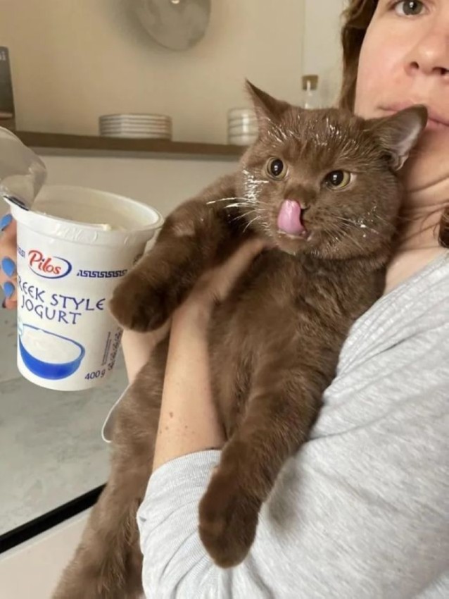 ����