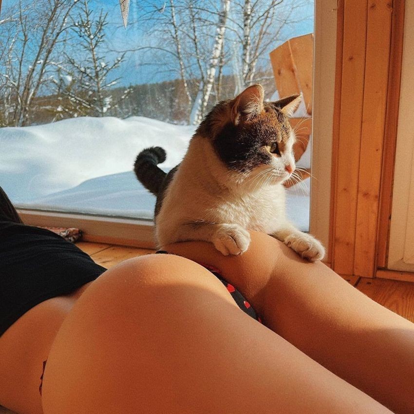 ��� �������� ����