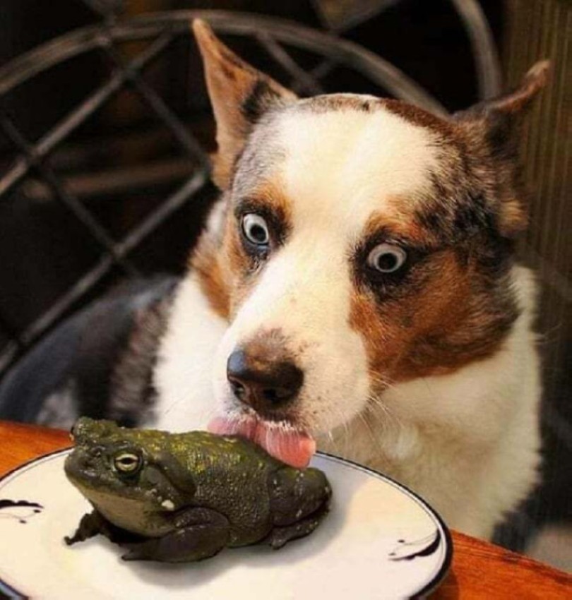 ôîòî