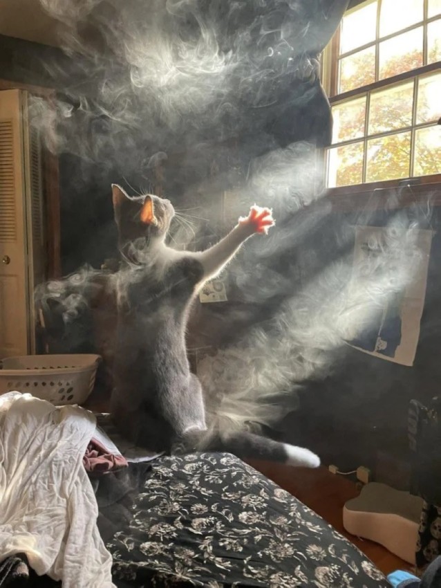 ôîòî