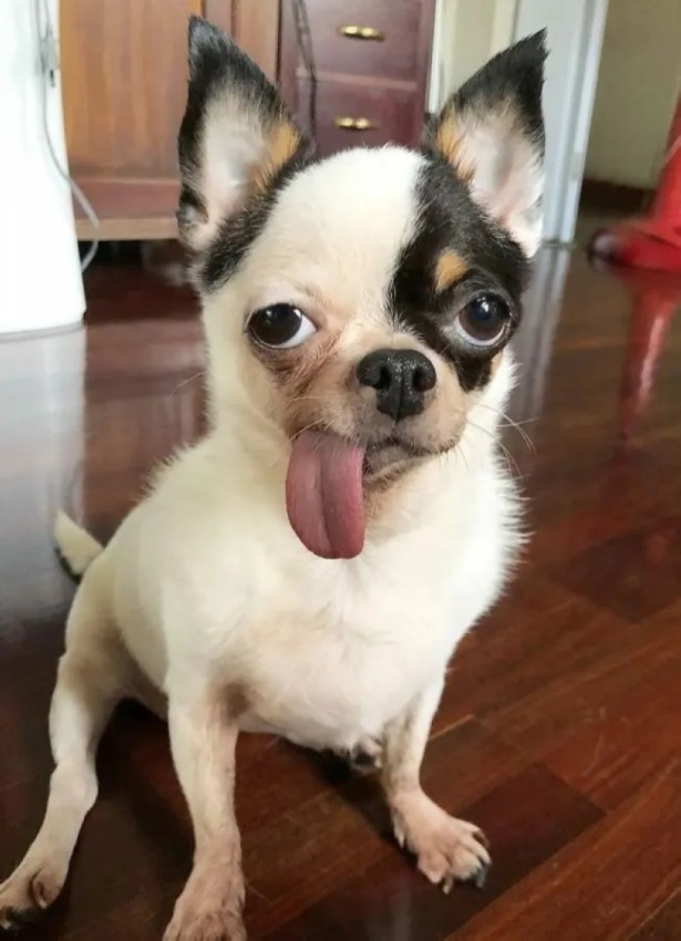 ôîòî