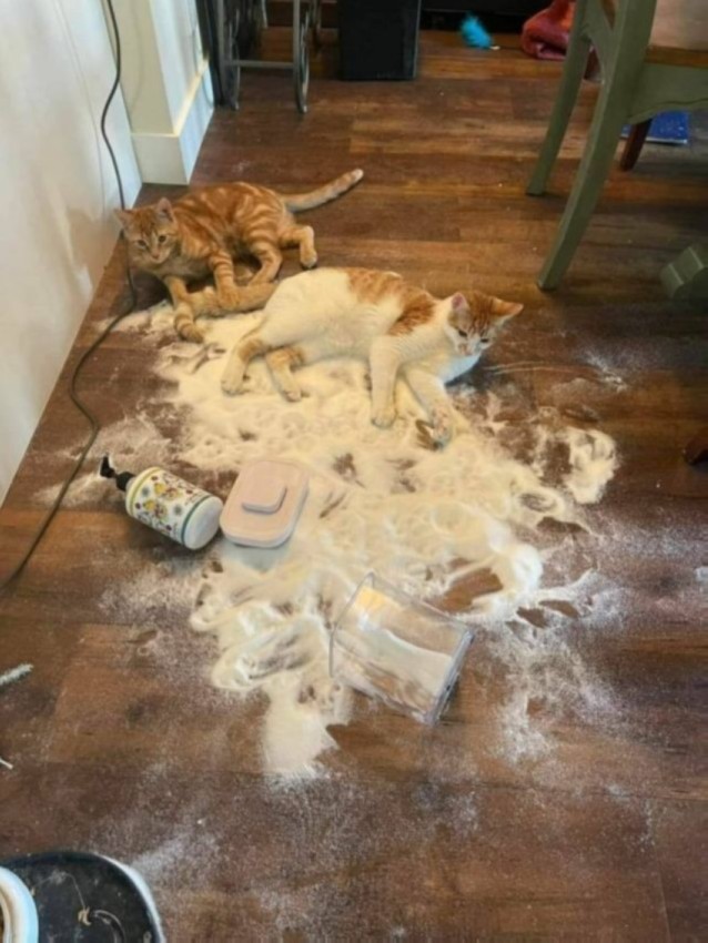 ����